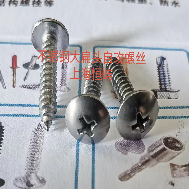 不锈钢大扁头自攻螺丝